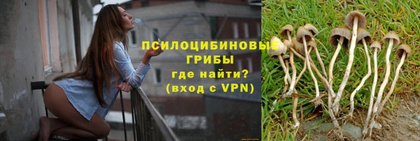 прущая мука Медвежьегорск
