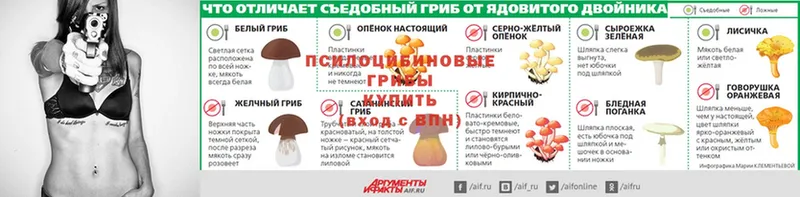 Псилоцибиновые грибы мицелий  MEGA ONION  Кирсанов  где купить  